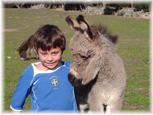 Groupes d'enfants