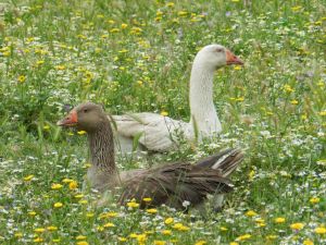 Horaires d'ouverture hivernale hors vacances scolaires