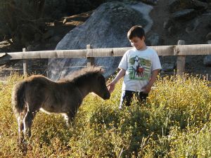 Groupes d'enfants